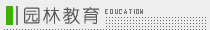 й羰԰