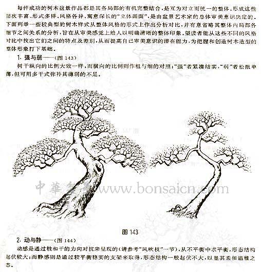 辰