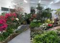 www.chla.comc.n