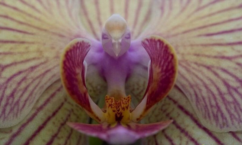Ӱʦ㵽С