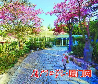 սԹ滮ʵʩԪ꣬ίĸ߶£԰־ֵĲ԰ֲ԰Χơɽ̺컨ء԰սԣֲѱΪģֲר԰Ϊץ֣Ϊص԰̻չ̬שߡ