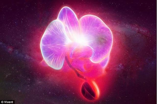 ʿװÿֲġ˽
