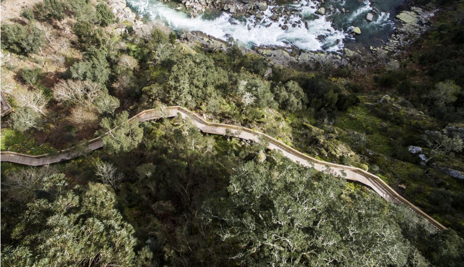 Paiva Walkways8۾е