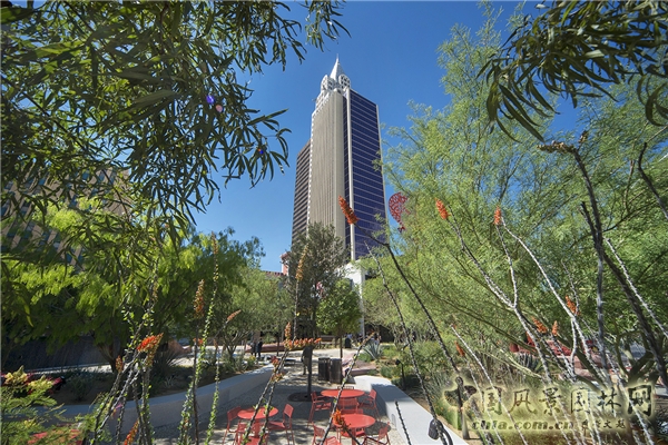ܶͷ˹ά˹THE PARK
