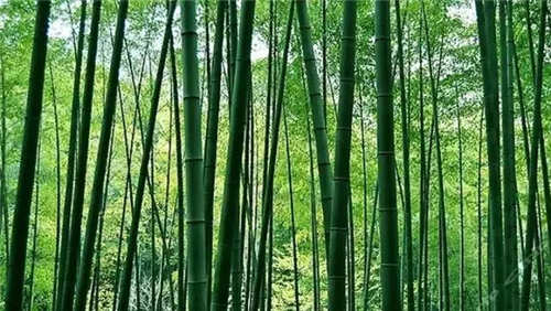 ؾ 续