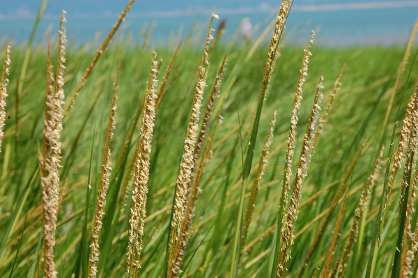 ޲ݱֲ֡޸ʪ