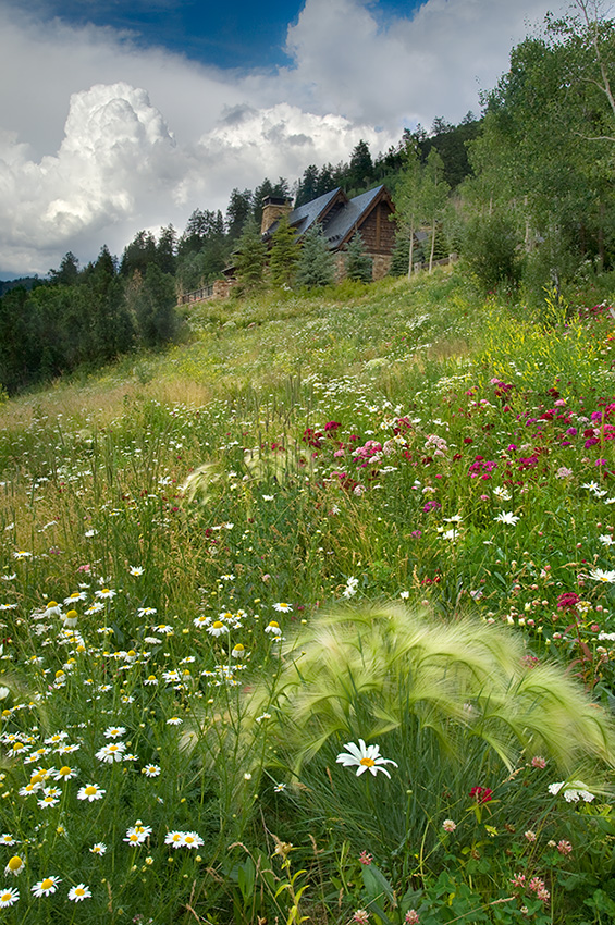 ľϪ԰