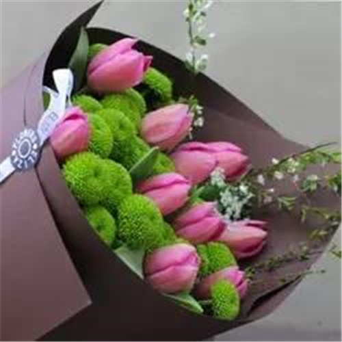 ϦڵˣЩ㲻֪İ黨