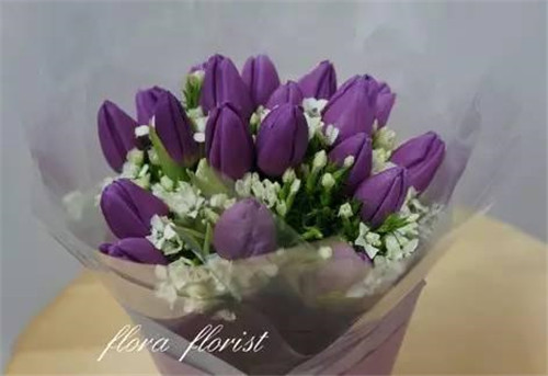 ϦڵˣЩ㲻֪İ黨
