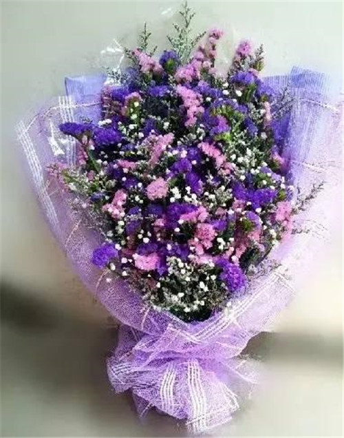 ϦڵˣЩ㲻֪İ黨