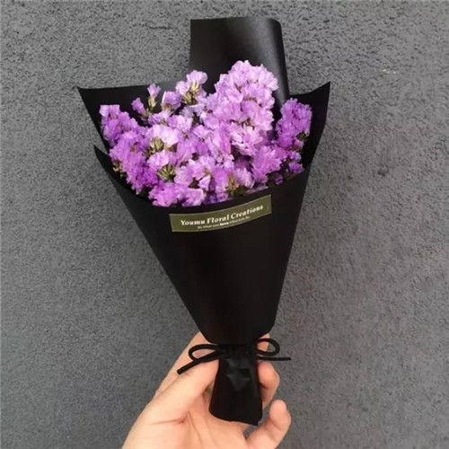 ϦڵˣЩ㲻֪İ黨