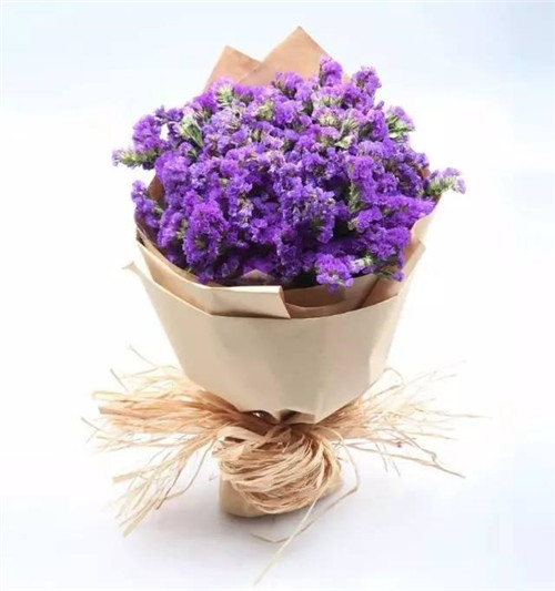 ϦڵˣЩ㲻֪İ黨