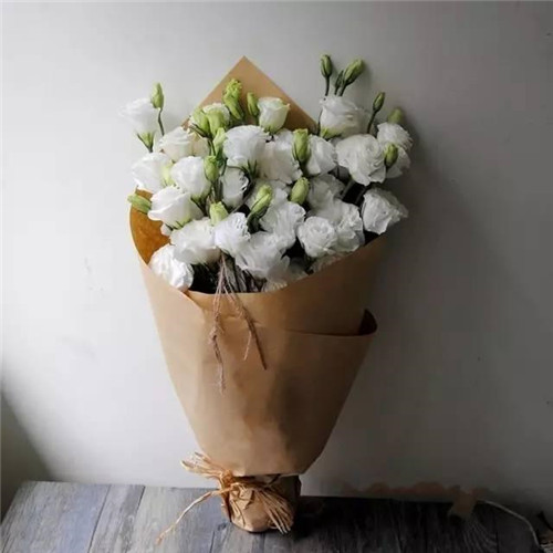 ϦڵˣЩ㲻֪İ黨