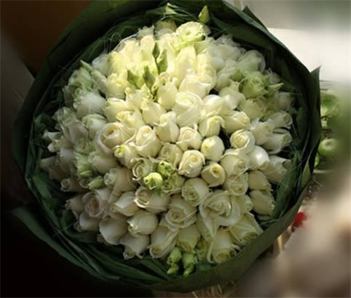 ϦڵˣЩ㲻֪İ黨