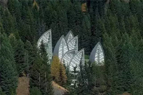 ľƷ ɭ