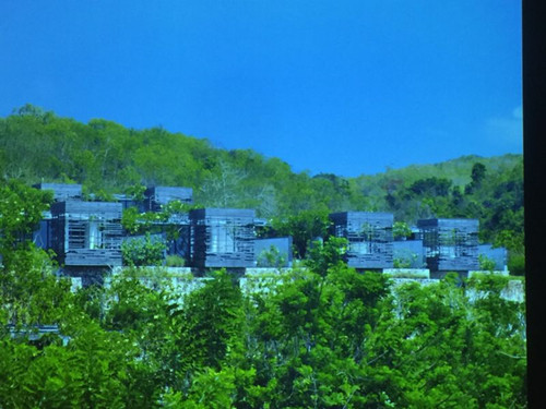 2017¼¾רҵ졪ʨɫ