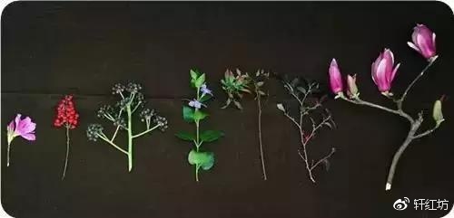 ȱٲ廨