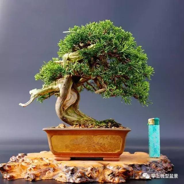 辰󳤵ֵ֦ĺð취