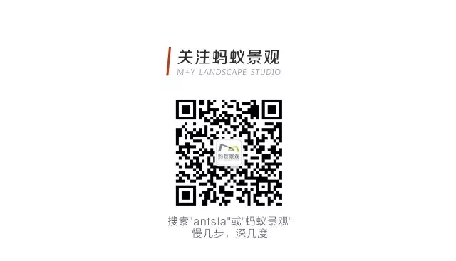 2017羰԰᣺Žּݽ