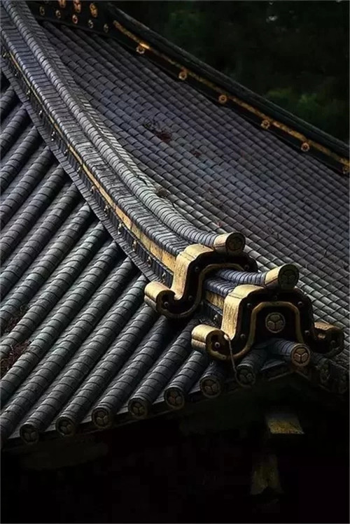 ϶֮ϸ