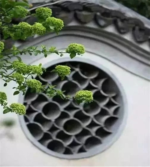 ϶֮ϸ