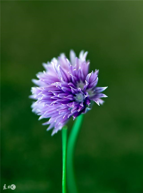 ʽյĻ