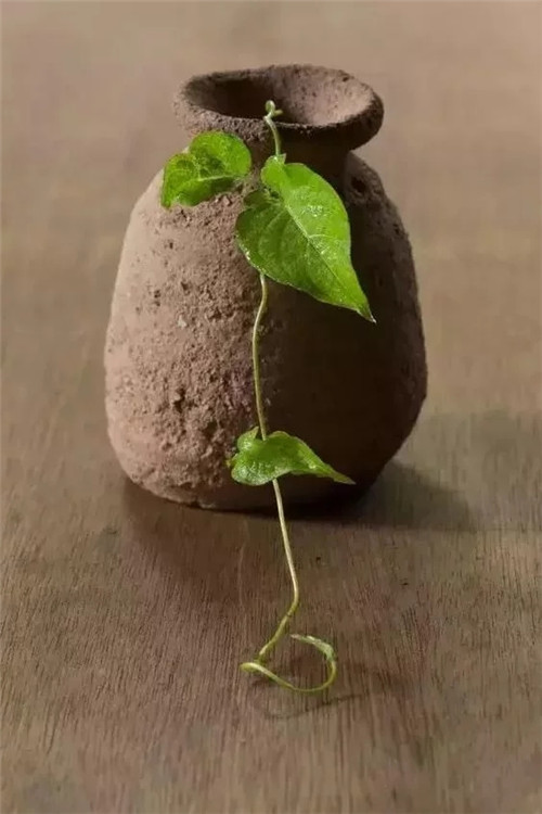 廨ײ