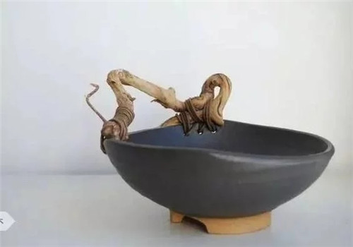 廨ײ