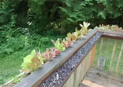 ˮɴֱĻ԰԰