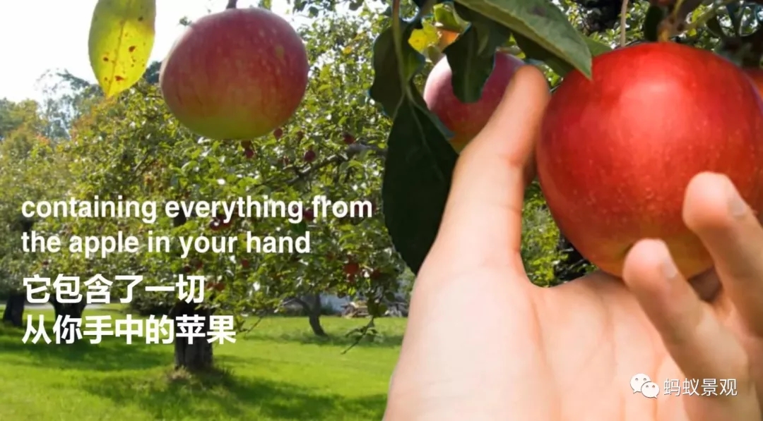 γΪһʦϣ