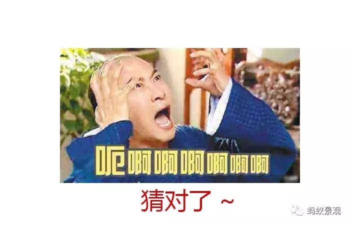 ԰ֲᣨƪ