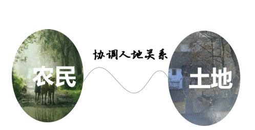 Զǣ羰԰ʦеĽɫλ
