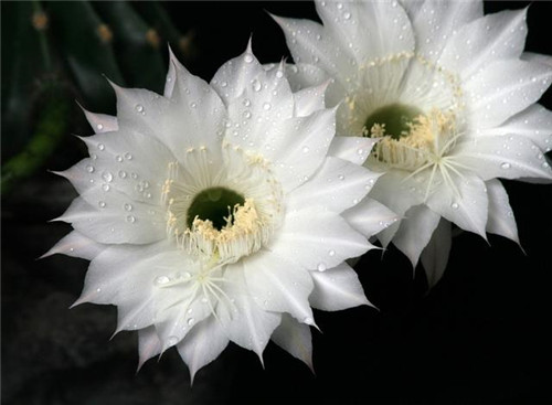 ũͨĻܣýˮ