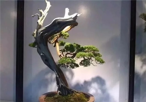 Իܹؼ裺ˮ