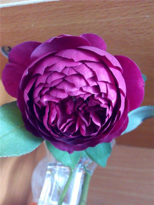 ԻܣļϣŨ