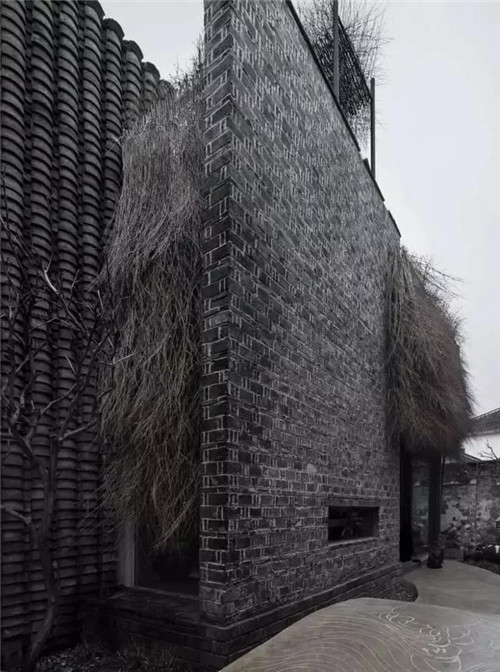 ƣ¾õā֮