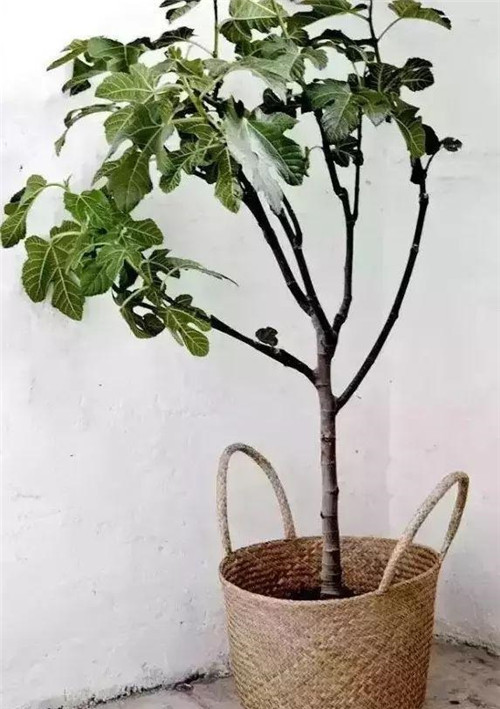 廨ʹлȻ