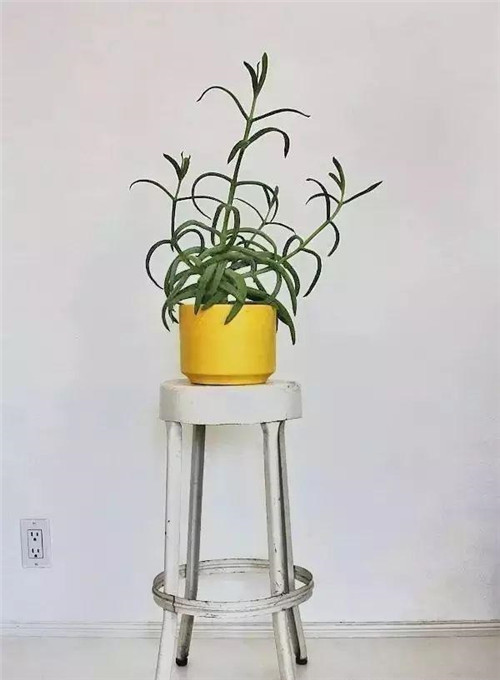 廨ʹлȻ