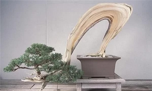 ֦ɾϸԵñи