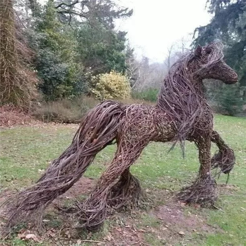 ֦֯ͥԺ۵