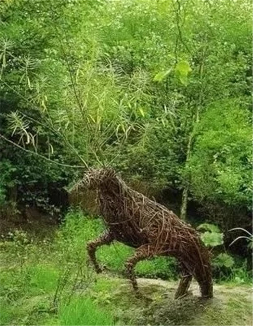 ֦֯ͥԺ۵