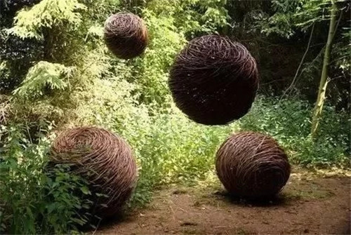 ֦֯ͥԺ۵