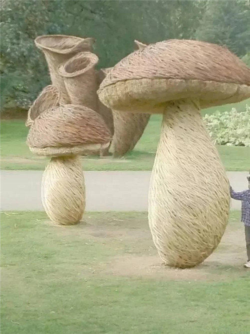 ֦֯ͥԺ۵