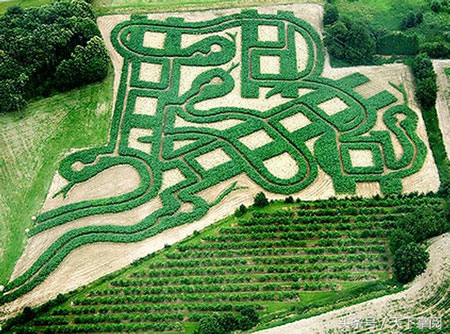 ӢSnakesnLadders